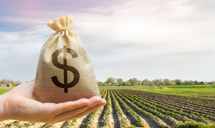 Produtores entregam ao Ministério da Agricultura proposta com pedido de R$ 623 bilhões em recursos para o Plano Safra 2026/27
