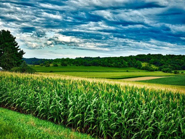 CNseg estima queda de quase 4% na arrecadação no seguro rural em 2026