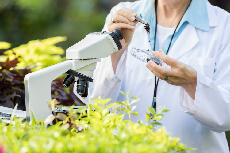 Unrecognizable female Caucasian botanist places soil sample in test tube. She is seen from the neck down.