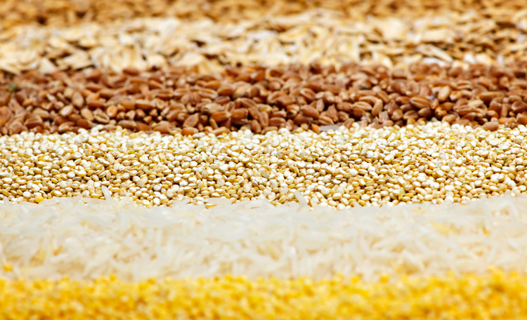 Exportações de insumos agrícolas registram recorde no 1º trimestre e somam US$ 188 milhões