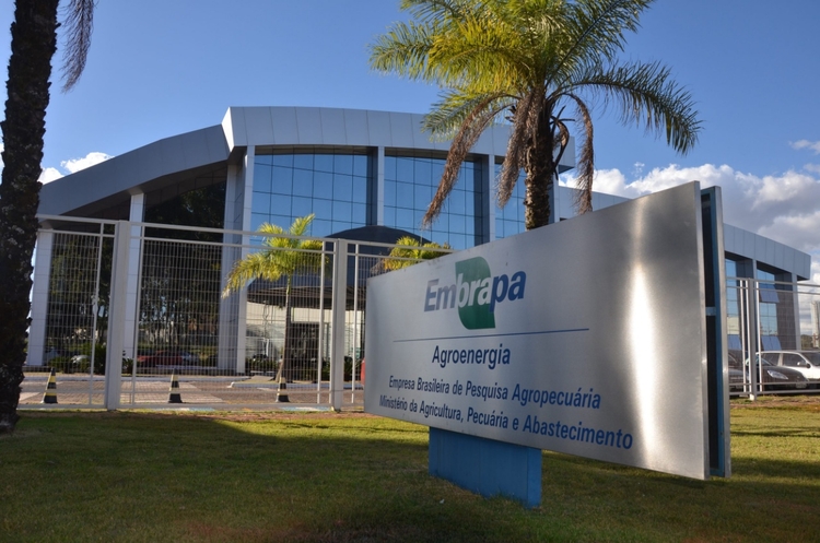 Fonte: Embrapa Agroenergia