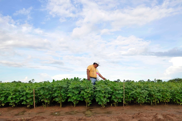Negócios da sociobioeconomia movimentam mais de R$ 120 milhões e ajudam a conservar 2,5 milhões de hectares