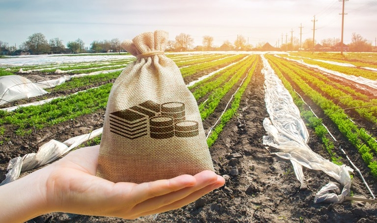 Valor da Produção Agropecuária Paulista atinge R$ 174,6 bilhões em 2025