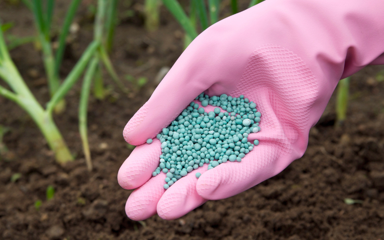 Deputados aprovam equiparação de fertilizantes a minerais críticos