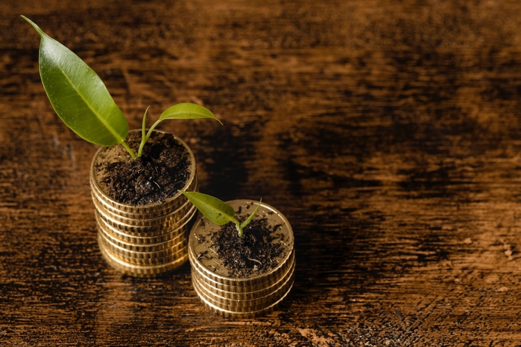 Fonte: Freepik