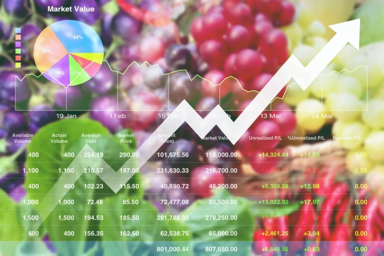 Fonte: Shutterstock