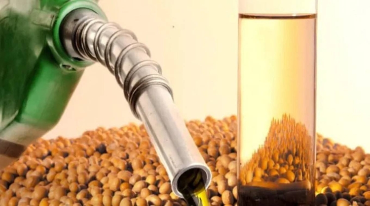 Fonte: AliançaBiodiesel