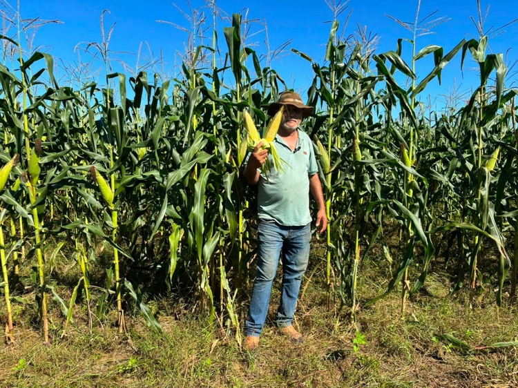 Fonte: Secretaria de Estado de Agricultura, Pecuária e Abastecimento - RJ